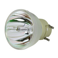 NEC NP-U250X Solo lampadina originale