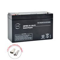 Unité(s) Batterie plomb AGM NX 12-6 General Purpose FR 6V 12Ah F4.8