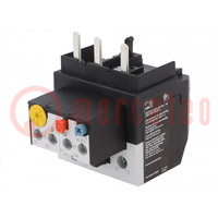 Thermal relay; Series: DILM40,DILM50,DILM65,DILM72; 65÷75A