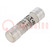 Fuse: fuse; gG; 10A; 690VAC; ceramic,cylindrical,industrial