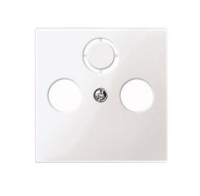 Merten 296719 placa de pared y cubierta de interruptor Blanco