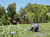Hozelock 2398 carrete de manguera de jardín Tambor de carrete Manual Verde