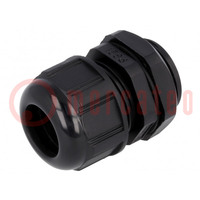 Cable gland; PG21; IP68; polyamide; black; UL94V-2; GWconnect