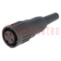 Plug; DIN; female; PIN: 3; straight; for cable; soldering; 300V; 5A