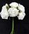 Artificial Rose Bud Bouquet 6 Flowers - 20cm, Beige