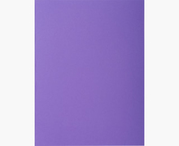 Exacompta 216008E fichier Carton Violet A4