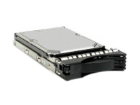 IBM 81Y9790 interne harde schijf 3.5" 1000 GB SATA III