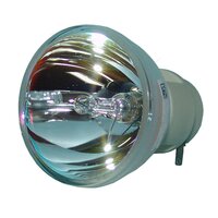 OPTOMA DX551 Solo lampadina originale