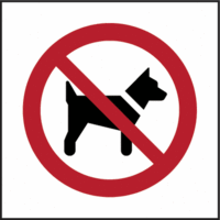 Schild - Mitführen von Hunden verboten, Rot/Schwarz, 25 x 25 cm, Kunststoff
