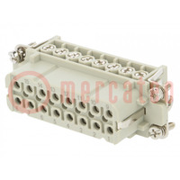 Connector: HDC; contact insert; female; HA; PIN: 16; 16+PE; size 5
