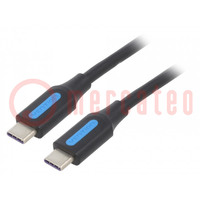 Cable; USB 2.0; USB C plug,both sides; 0.5m; black; 480Mbps; 100W
