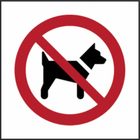 Hängeschild - Mitführen von Hunden verboten, Rot/Schwarz, 20 x 20 cm, Weiß