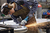 Bosch GWS 17-125 Inox Professional haakse slijper 12,5 cm 7500 RPM 1700 W 2,4 kg