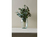 BITZ 12150 Vase Becherförmige Vase Glas Grün