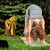 Relaxdays Buddha Figur Garten, wetterfest & frostsicher, XL Gartenbuddha ruhend, Gartenfigur, HBT: 61 x 40 x 37 cm, gold