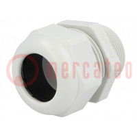 Cable gland; with long thread; M32; 1.5; IP68; polyamide; UL94V-0