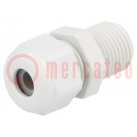 Cable gland; with long thread; PG9; IP68; polyamide; light grey