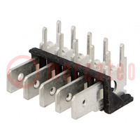 Connector: connector strip; 6,4mm; 0,8mm; THT; staal; vertind; 500V