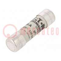 Fuse: fuse; gG; 20A; 500VAC; ceramic,cylindrical,industrial