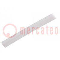 Stopper; for profiles; Width of the groove: 8mm; L: 2m; PP; natural