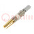Contact; female; gold-plated; 16AWG÷14AWG; HR41; crimped; 20A