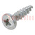 Schroef; 5x20; Kop: cilinder; Pozidriv; PZ2; staal; zink; SPAX®