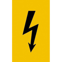 244767