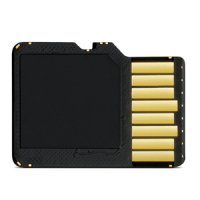 Garmin 8GB microSD Card Klasse 4