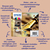 Epson Pen and crossword Multipack 4-colour 16 EasyMail