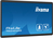 iiyama TW2424AS-B1 visualizzatore di messaggi Pannello piatto per segnaletica digitale 60,5 cm (23.8") Wi-Fi 250 cd/m² 4K Ultra HD Nero Touch screen Processore integrato Android...