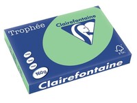 Clairefontaine Trophée Papier, A3, 160 g/m², Natuurgroen (doos 4 x 250 vel)