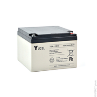 Batterie(s) Batterie plomb AGM YUCEL Y24-12IFR 12V 24Ah M5-F