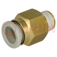 Push-in fitting; threaded,straight; -1÷10bar; brass; -5÷60°C