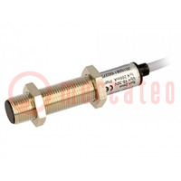 Sensore: induttivo; OUT: PNP / NO + NC; 0÷2mm; 10÷30VDC; M12; IP67