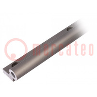 Rail simple; aluminium; Ø: 20mm; L: 500mm; DryLin® W; rond