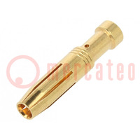 Contacto; hembra; aleación de cobre; dorado; 2,5mm2; 14AWG; 16A