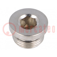 Protection cap; max.75bar; nickel plated brass; Thread: G 3/8"