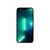 Apple iPhone 13 Pro Max 17 cm (6.7") Dual-SIM iOS 15 5G 1 TB Silber
