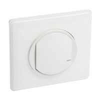 Commande sans fils ON/OFF Céliane with Netatmo - plaque blanc (199163)