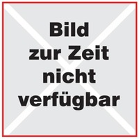 Einzelabbildung