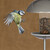 Relaxdays Vogelfutterspender, Futterhäuschen für Vögel, Aufhängen o. Stecken, Garten & Balkon, mit Stab H: 172cm, silber