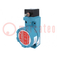 Limit switch; without lever; NO + NC; 10A; max.600VAC; max.250VDC