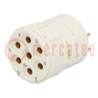 Connector: M23; contact insert; PIN: 7; female; soldering; 300V; 20A