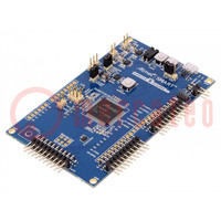 Ontwik.kit: Microchip ARM; Componenten: ATSAMC21N18A; SAMC