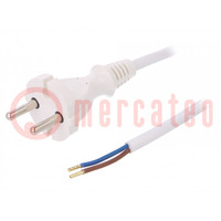 Cable; 2x1mm2; CEE 7/17 (C) plug,wires; PVC; 4m; white; 16A; 250V