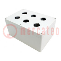 Enclosure: for remote controller; IP66; UL94-5V; X: 160mm; Y: 240mm