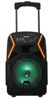 Głośnik APS22 system audio Bluetooth Karaoke