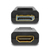 Axagon RVD-HI cambiador de género para cable DisplayPort HDMI Negro