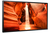 Samsung OM55N-S Digital Signage Flachbildschirm 139,7 cm (55") LCD WLAN 4000 cd/m² Full HD Schwarz Eingebauter Prozessor Tizen 5.0