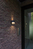LUTEC LOTUS Wandbeleuchtung für den Außenbereich LED F